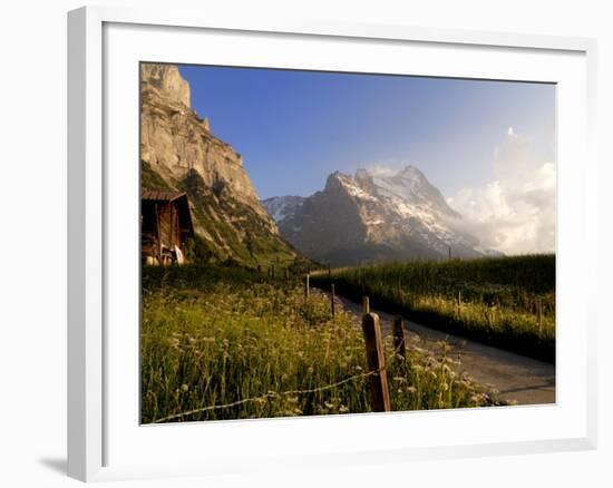 Spring Alpine Flower Meadow and Mountains, Grindelwald, Bern, Switzerland, Europe-Richardson Peter-Framed Photographic Print