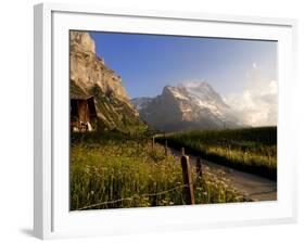 Spring Alpine Flower Meadow and Mountains, Grindelwald, Bern, Switzerland, Europe-Richardson Peter-Framed Photographic Print