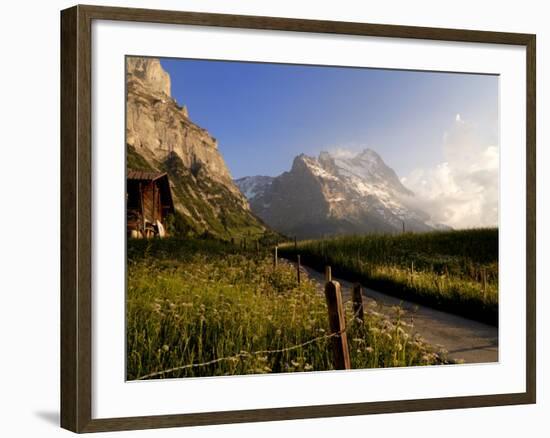 Spring Alpine Flower Meadow and Mountains, Grindelwald, Bern, Switzerland, Europe-Richardson Peter-Framed Photographic Print