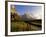 Spring Alpine Flower Meadow and Mountains, Grindelwald, Bern, Switzerland, Europe-Richardson Peter-Framed Photographic Print