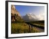 Spring Alpine Flower Meadow and Mountains, Grindelwald, Bern, Switzerland, Europe-Richardson Peter-Framed Photographic Print