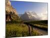 Spring Alpine Flower Meadow and Mountains, Grindelwald, Bern, Switzerland, Europe-Richardson Peter-Mounted Photographic Print