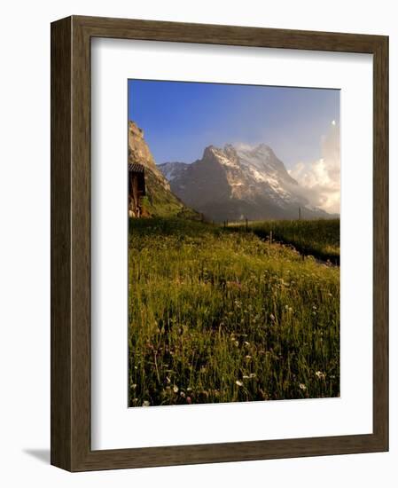 Spring Alpine Flower Meadow and Mountains, Grindelwald, Bern, Switzerland, Europe-Richardson Peter-Framed Photographic Print