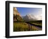 Spring Alpine Flower Meadow and Mountains, Grindelwald, Bern, Switzerland, Europe-Richardson Peter-Framed Photographic Print