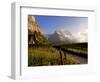 Spring Alpine Flower Meadow and Mountains, Grindelwald, Bern, Switzerland, Europe-Richardson Peter-Framed Photographic Print