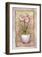 Spring Amaryllis-Abby White-Framed Art Print