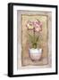 Spring Amaryllis-Abby White-Framed Art Print