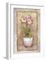 Spring Amaryllis-Abby White-Framed Art Print