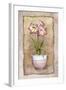 Spring Amaryllis-Abby White-Framed Art Print