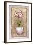 Spring Amaryllis-Abby White-Framed Art Print