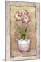 Spring Amaryllis-Abby White-Mounted Art Print