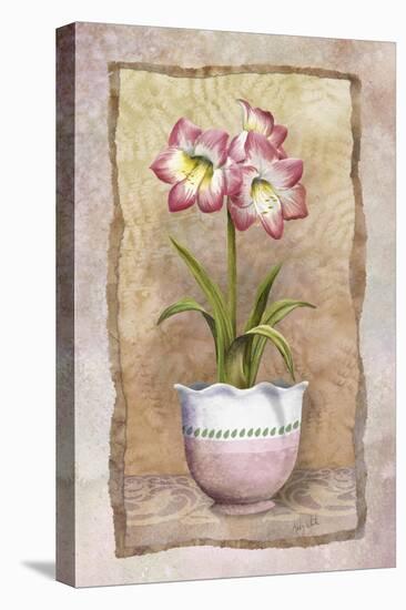 Spring Amaryllis-Abby White-Stretched Canvas