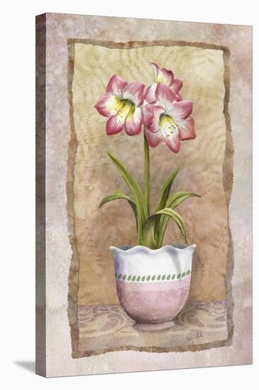 Spring Amaryllis-Abby White-Stretched Canvas