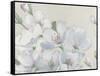 Spring Apple Blossoms Neutral-James Wiens-Framed Stretched Canvas