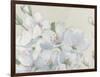 Spring Apple Blossoms Neutral-James Wiens-Framed Art Print