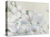 Spring Apple Blossoms Neutral-James Wiens-Stretched Canvas