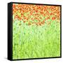 Spring Arabesque-Herb Dickinson-Framed Stretched Canvas