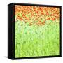 Spring Arabesque-Herb Dickinson-Framed Stretched Canvas