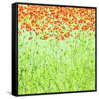 Spring Arabesque-Herb Dickinson-Framed Stretched Canvas