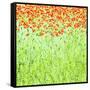 Spring Arabesque-Herb Dickinson-Framed Stretched Canvas