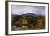 Spring, Arnside Knot from Warton Crag, C.1863-Daniel Alexander Williamson-Framed Giclee Print