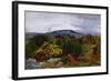 Spring, Arnside Knot from Warton Crag, C.1863-Daniel Alexander Williamson-Framed Giclee Print