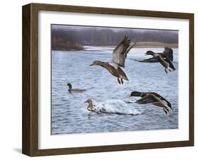 Spring Arrivals-Rusty Frentner-Framed Giclee Print