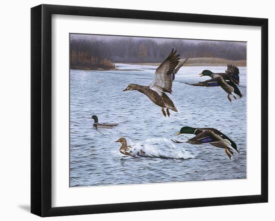 Spring Arrivals-Rusty Frentner-Framed Giclee Print