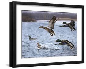 Spring Arrivals-Rusty Frentner-Framed Giclee Print