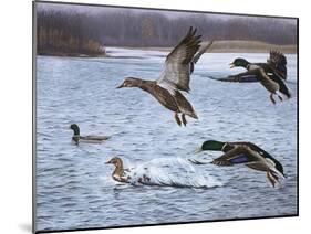 Spring Arrivals-Rusty Frentner-Mounted Giclee Print
