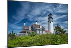 Spring at Cape Cod Light-Michael Blanchette Photography-Mounted Photographic Print