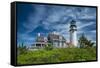 Spring at Cape Cod Light-Michael Blanchette Photography-Framed Stretched Canvas