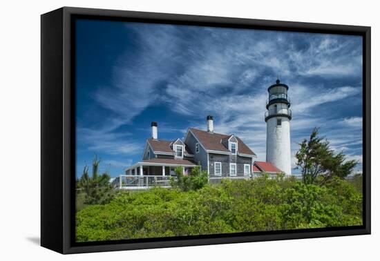 Spring at Cape Cod Light-Michael Blanchette Photography-Framed Stretched Canvas