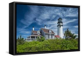 Spring at Cape Cod Light-Michael Blanchette Photography-Framed Stretched Canvas