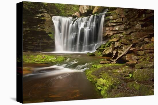 Spring at Elakala Falls-Michael Blanchette-Stretched Canvas