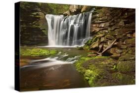 Spring at Elakala Falls-Michael Blanchette-Stretched Canvas