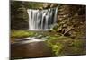 Spring at Elakala Falls-Michael Blanchette-Mounted Photographic Print