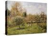 Spring at Eragny; Printemps a Eragny, 1900-Camille Pissarro-Stretched Canvas