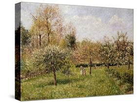 Spring at Eragny; Printemps a Eragny, 1900-Camille Pissarro-Stretched Canvas