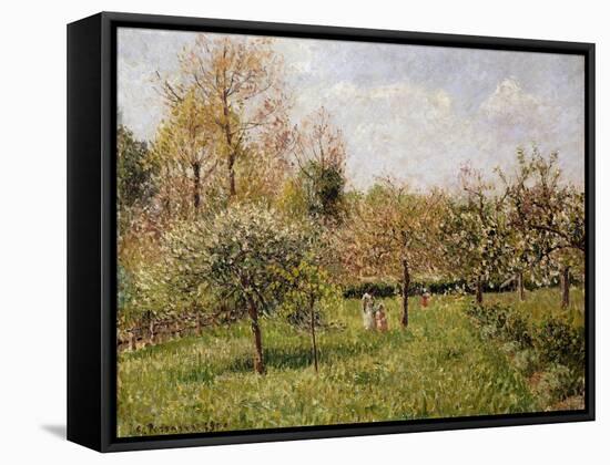 Spring at Eragny; Printemps a Eragny, 1900-Camille Pissarro-Framed Stretched Canvas