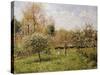 Spring at Eragny; Printemps a Eragny, 1900-Camille Pissarro-Stretched Canvas