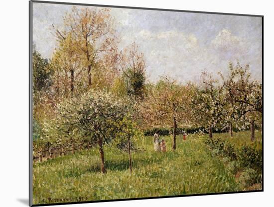 Spring at Eragny; Printemps a Eragny, 1900-Camille Pissarro-Mounted Giclee Print