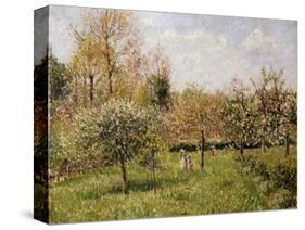 Spring at Eragny-Camille Pissarro-Stretched Canvas