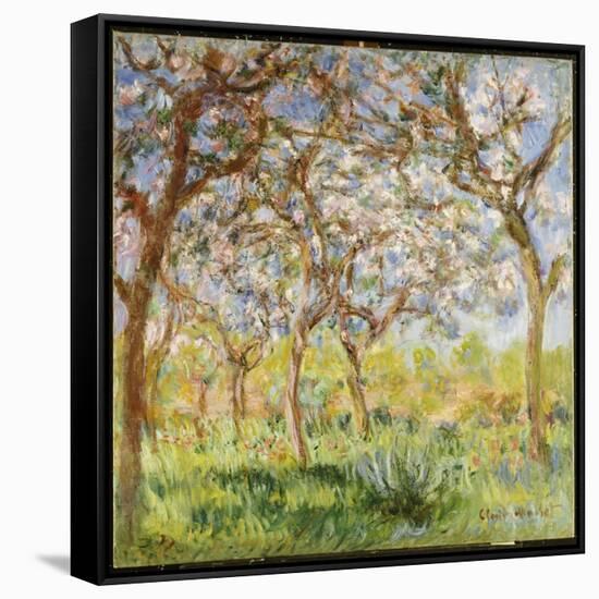 Spring at Giverny-Claude Monet-Framed Stretched Canvas