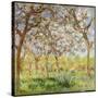 Spring at Giverny-Claude Monet-Stretched Canvas