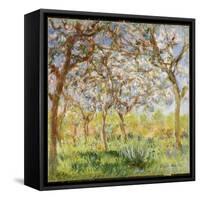 Spring at Giverny-Claude Monet-Framed Stretched Canvas