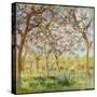 Spring at Giverny-Claude Monet-Stretched Canvas