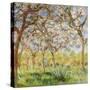 Spring at Giverny-Claude Monet-Stretched Canvas