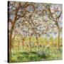 Spring at Giverny-Claude Monet-Stretched Canvas