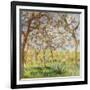 Spring at Giverny-Claude Monet-Framed Giclee Print